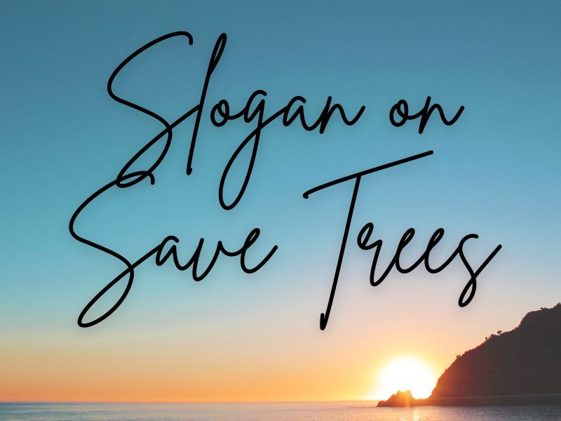 Slogan on Save Trees banner