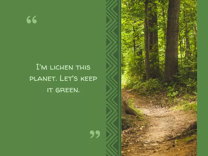 funny slogans on saving trees: I'm lichen this planet. Let's keep it green.