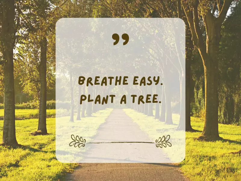 Slogan on Save Trees