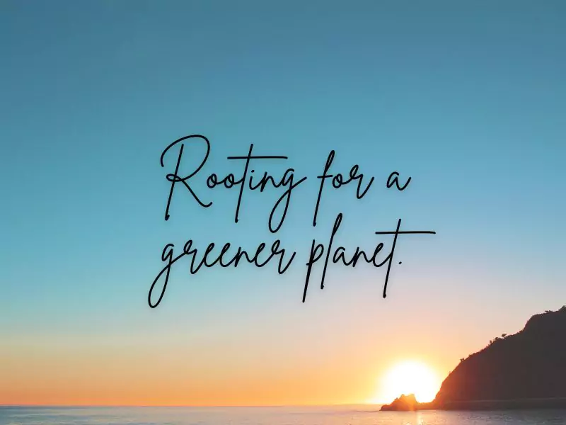 Slogan on Save Trees: Rooting for a greener planet.