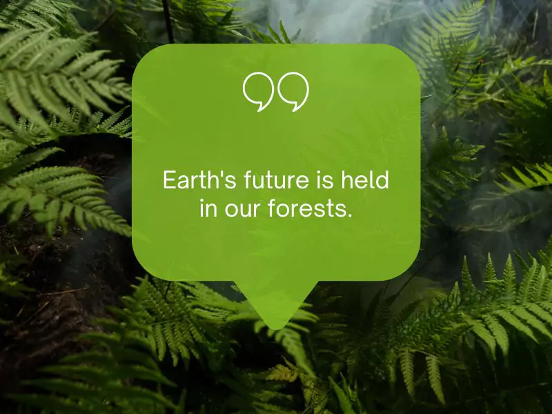 slogans on save trees save earth: Slogans on Save Trees, Save Earth