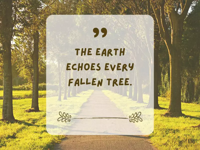 the earth echoes every fallen tree